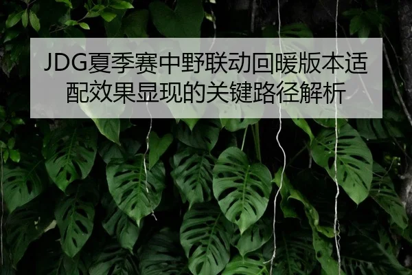 JDG夏季赛中野联动回暖版本适配效果显现的关键路径解析